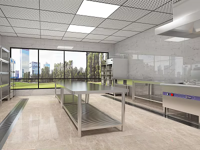Commercial Kitchen Interior With Stainless Steel Worktables Large Windows Vent Hood And Metal Shelving 3d model