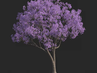 Lush Purple Flowering Arbor With Dark Background And Full Canopy 3d model