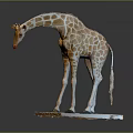 Detailed Standing Giraffe Sculpture With Brown White Patterned Coat On Square Base 3d model