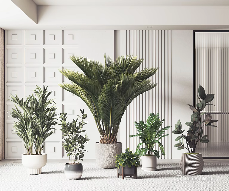 Indoor Modern Potted Plants With Various Types And Stylish Decorative Pots 3d model 