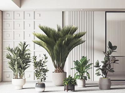 Indoor Modern Potted Plants With Various Types And Stylish Decorative Pots 3d model