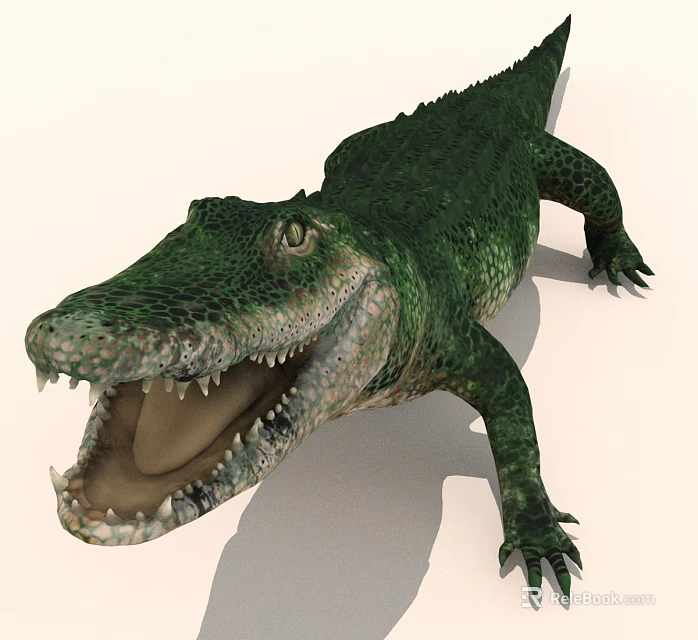 Realistic 3D Green Crocodile Model With Open Mouth And Detailed Scales 3d model 