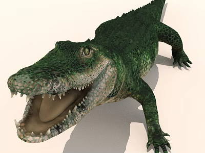 Realistic 3D Green Crocodile Model With Open Mouth And Detailed Scales 3d model