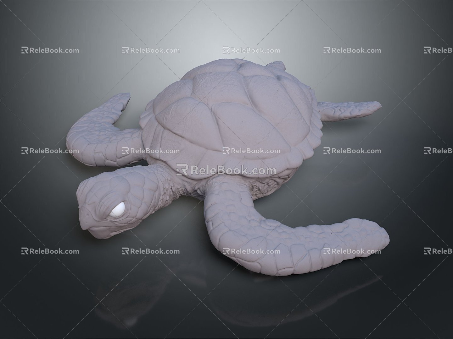 Modern Turtle Turtle Turtle Cartoon Turtle 3d model