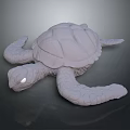 Modern Turtle Cartoon Turtle 3d model