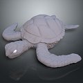 Modern Turtle Turtle Turtle Cartoon Turtle 3d model