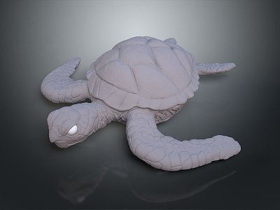 Modern Turtle Cartoon Turtle 3d model