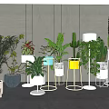 Indoor Potted Plants With Various Green Leaves Colorful Pots And Metal Stands