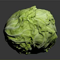 Fresh Green Cabbage With Shiny Surface And Crisp Leaves On Black Background