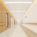 Modern Corridor Hospital Corridor 3d model