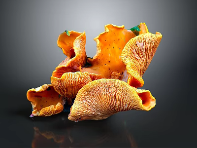 Vibrant Orange Vegetable Mushrooms Cluster With Wavy Edges And Fresh Texture 3d model