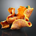 Vibrant Orange Vegetable Mushrooms Cluster With Wavy Edges And Fresh Texture