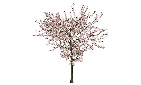 Modern Flower Tree Sea Flower Tree 3d model