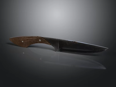 Tactical Weapon Knife With Wooden Handle Sharp Metal Blade And Reflection 3d model