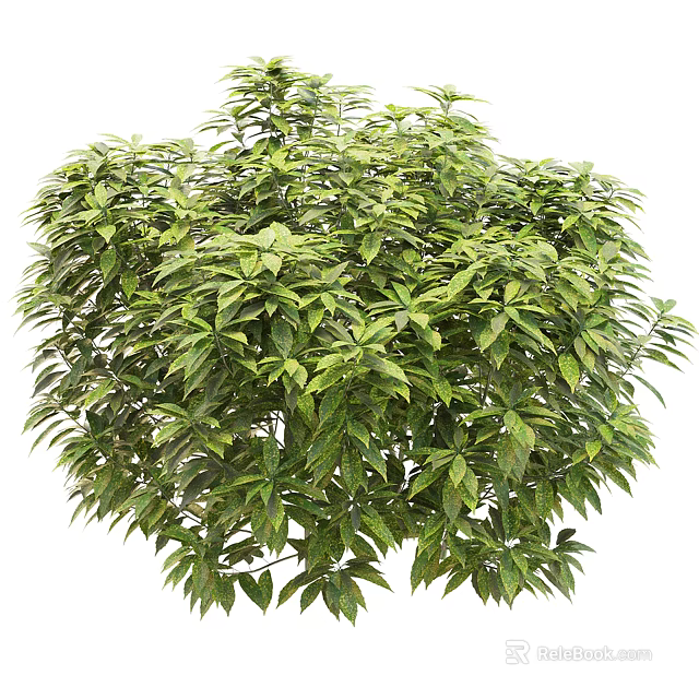 Lush Green Shrub With Dense Foliage And Vibrant Leaves In Round Shape 3d model 