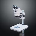 Stereomicroscope With Binocular Head Precision Adjustment Knobs And Adjustable Base For Medical Laboratory Use 3d model