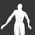Human Body Organ System 3D Model With Detailed Muscular And Skeletal Structure