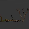Natural Dried Tree Branches And Wooden Stems For Decorative Plant Arrangement