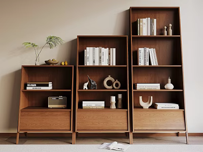Modern Wooden Bookcases Interior With Layered Shelves Books Decorative Items Radio And Plant 3d model
