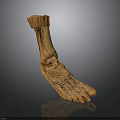 Human Foot Anatomical Model With Detailed Muscle And Ligament Structure