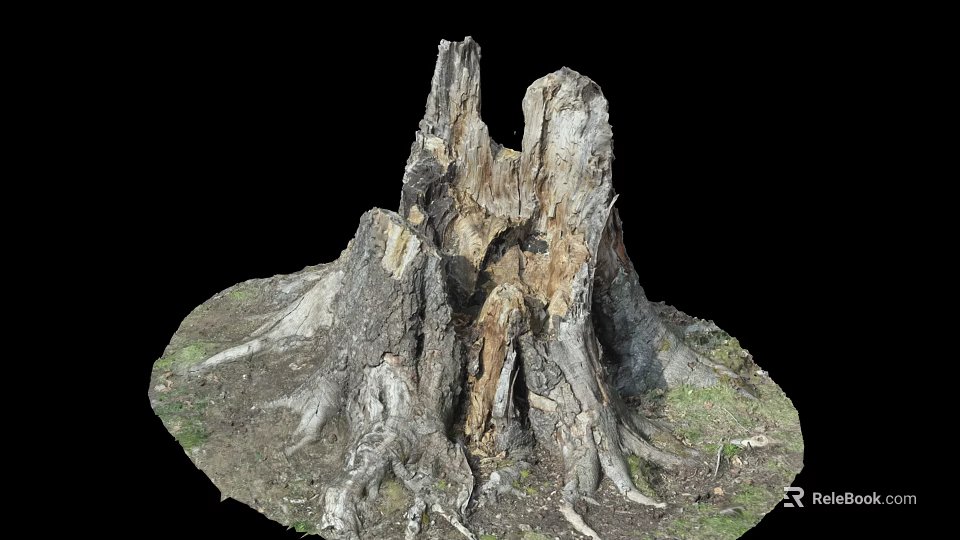 Old Weathered Tree Stump With Exposed Roots And Natural Wood Texture 3d model 