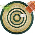 Round Area Rug in Green Beige Concentric Circle Woven Texture Wooden Chair Green Plant