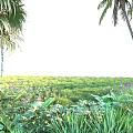Lush Tropical Plant Combination with Palm Trees Green Grass and Purple Flowers