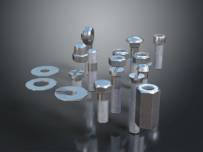 Assorted Metal Bolts Nuts and Washers Fastener Collection in Various Sizes 3d model