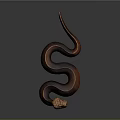 Brown Scaled Snake Coiled on Gray Background with Detailed Texture 3d model