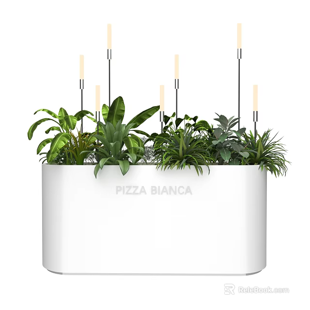 Bonsai Potted Plants In White Container With Lush Green Foliage And Decorative Design 3d model 