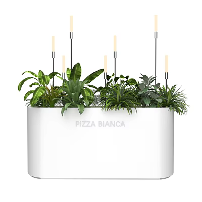Bonsai Potted Plants In White Container With Lush Green Foliage And Decorative Design 3d model