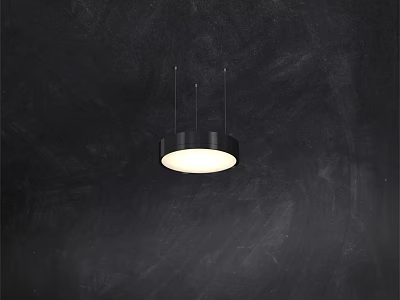Modern Circular Pendant Light With White Illumination And Minimalist Design Features 3d model