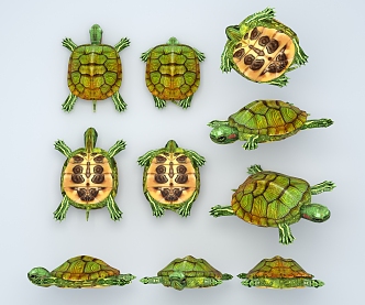 Modern Turtle 3d model