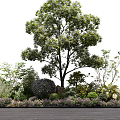 Modern Tree Plant Landscape Cluster 3d model