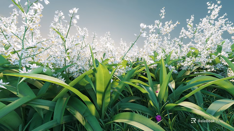 White Garden Flowers With Lush Green Leaves In Sunlit Natural Setting 3d model 