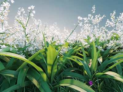 White Garden Flowers With Lush Green Leaves In Sunlit Natural Setting 3d model