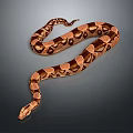 modern snake cobra venomous snake python 3d model