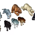 Realistic Wild Animal Models Including Tigers Bears And Wolves In Various Poses