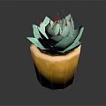 Close Up of Succulent Plant With Turquoise Leaves and Red Spines in Yellow Pot