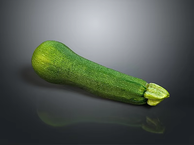 Fresh Green Zucchini Vegetable Showing Natural Curved Shape and Smooth Skin 3d model
