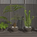 Bonsai Potted Green Plants with Dark Pots Against Indoor Wooden Lattice Wall for Natural Decor