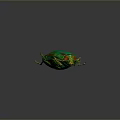 Vibrant Metallic Green And Red Beetle With Shiny Carapace And Reflection