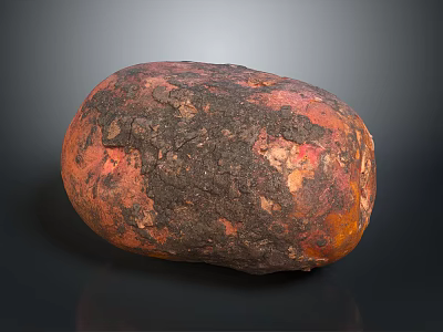 Roasted Sweet Potato With Charred Surface And Orange Red Hue On Dark Reflective Background 3d model
