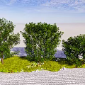 Lush Green Trees With Dense Foliage On Grassy Area Near Stone Path Under Blue Sky