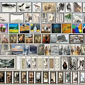 Collection of Diverse Art Paintings Displayed in Gallery Wall with Various Themes and Styles