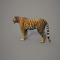 Realistic 3D Model of Reptile Featuring Detailed Scales and Lifelike Standing Posture