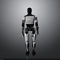 Humanoid Robotic Equipment With Mechanical Structure And White Black Exterior Design