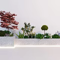 Garden Decor Featuring Illuminated White Stone Planters Red Maple Green Shrubs Yellow Blue Flowers