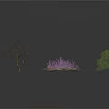Three Different Plants Featuring Bare Tree Purple Flowering Bush And Green Leafy Tree