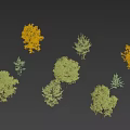 Arbor Collection With Green And Yellow Leaves Featuring Multiple Trees And Human Figures Below